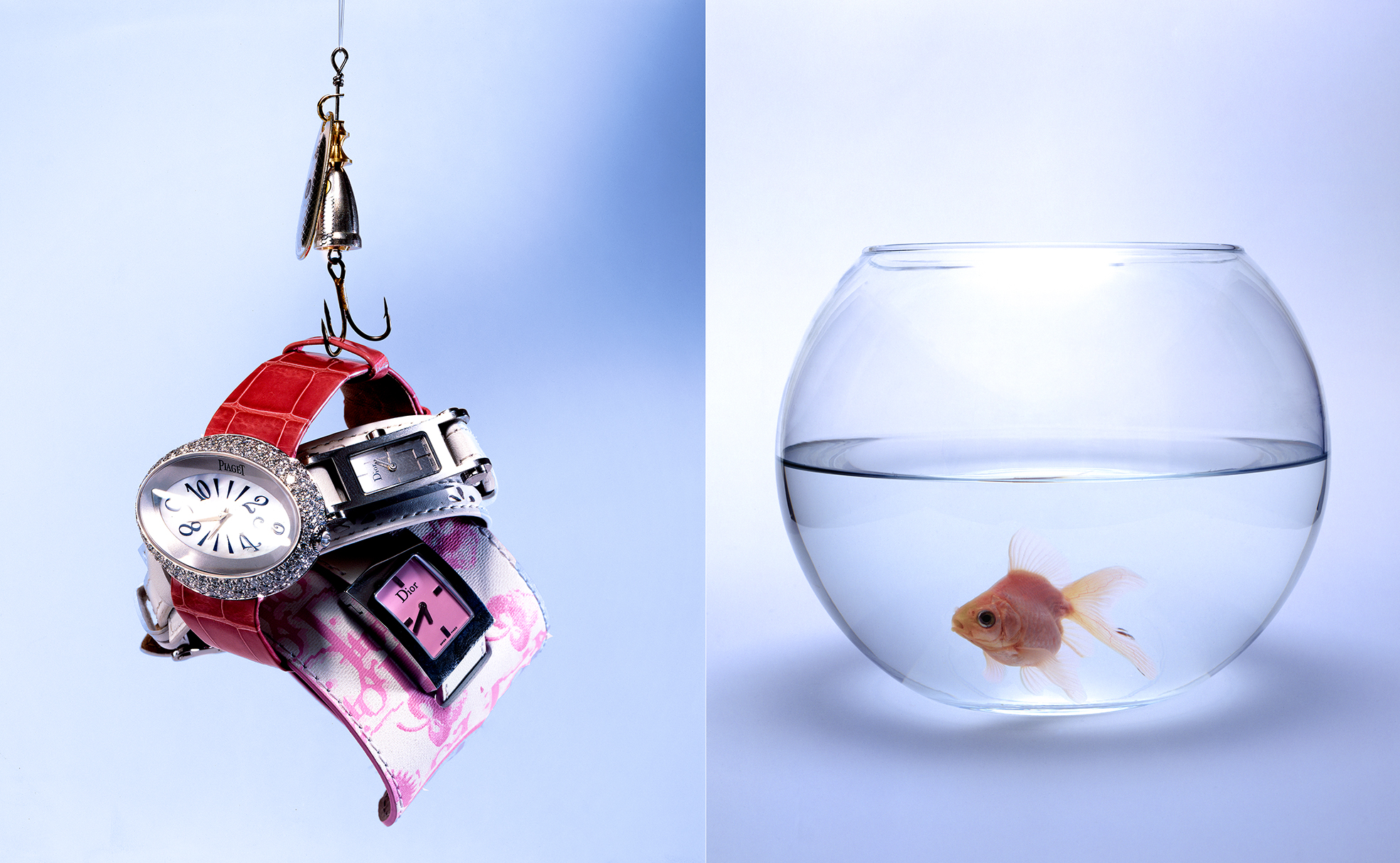 photographie d'une composition pour ICON 